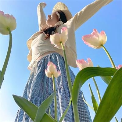 阳光下的冰器 海报