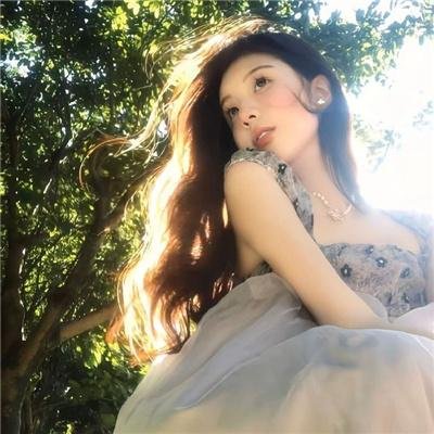 二凤 海报